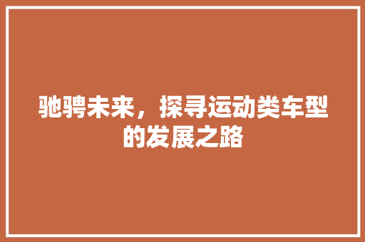 驰骋未来，探寻运动类车型的发展之路 车身配件