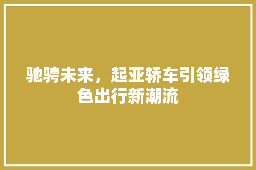 驰骋未来，起亚轿车引领绿色出行新潮流
