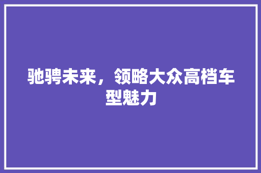 驰骋未来，领略大众高档车型魅力