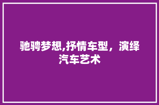 驰骋梦想,抒情车型，演绎汽车艺术