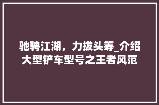 驰骋江湖，力拔头筹_介绍大型铲车型号之王者风范