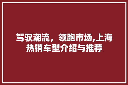 驾驭潮流，领跑市场,上海热销车型介绍与推荐