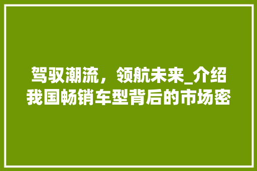驾驭潮流，领航未来_介绍我国畅销车型背后的市场密码