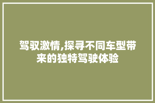 驾驭激情,探寻不同车型带来的独特驾驶体验