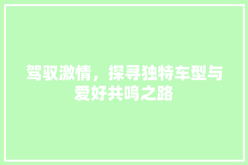 驾驭激情，探寻独特车型与爱好共鸣之路 变速箱配件