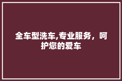 全车型洗车,专业服务，呵护您的爱车