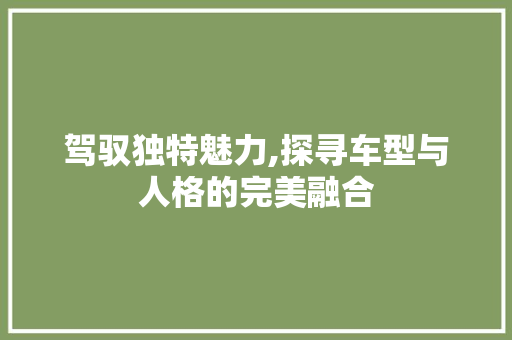 驾驭独特魅力,探寻车型与人格的完美融合