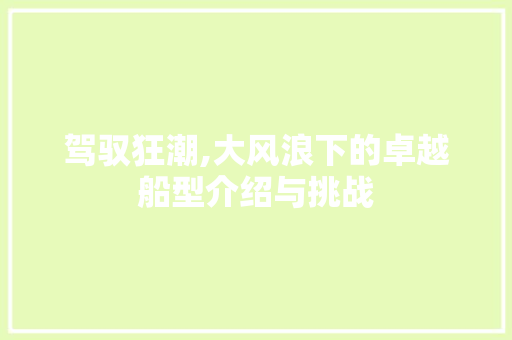 驾驭狂潮,大风浪下的卓越船型介绍与挑战