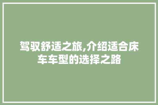 驾驭舒适之旅,介绍适合床车车型的选择之路