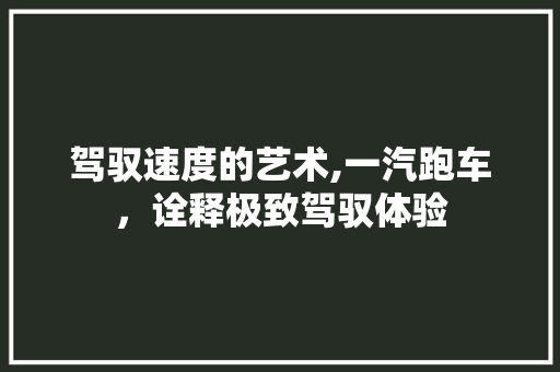 驾驭速度的艺术,一汽跑车，诠释极致驾驭体验