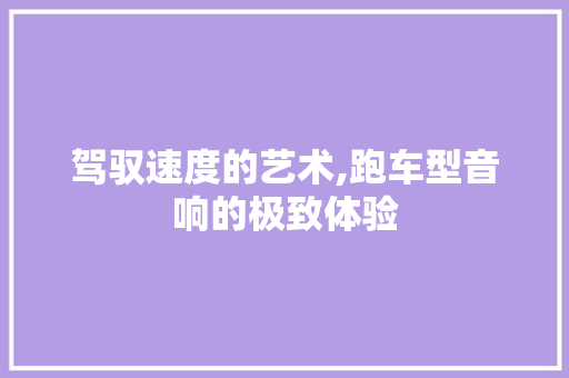 驾驭速度的艺术,跑车型音响的极致体验