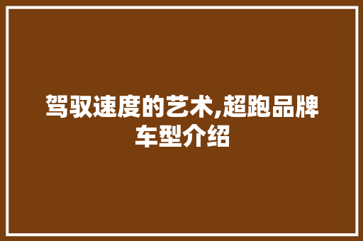 驾驭速度的艺术,超跑品牌车型介绍