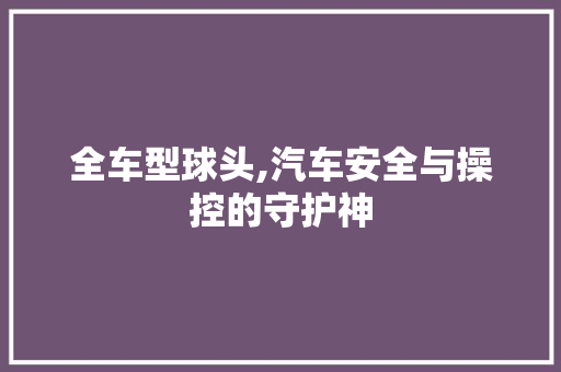 全车型球头,汽车安全与操控的守护神