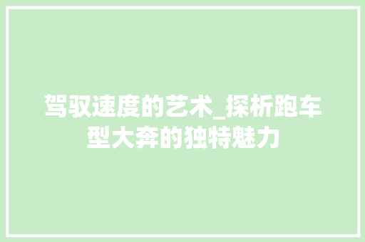 驾驭速度的艺术_探析跑车型大奔的独特魅力