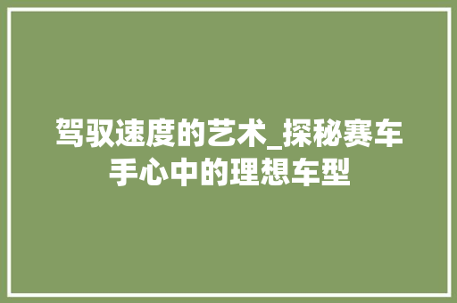 驾驭速度的艺术_探秘赛车手心中的理想车型