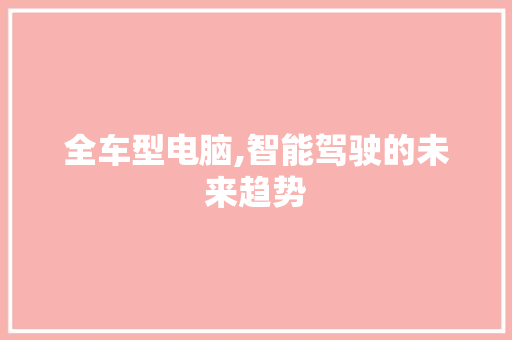 全车型电脑,智能驾驶的未来趋势