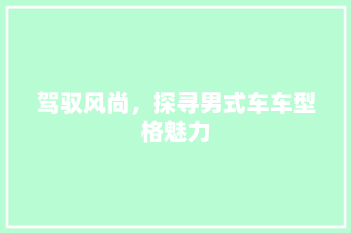 驾驭风尚，探寻男式车车型格魅力