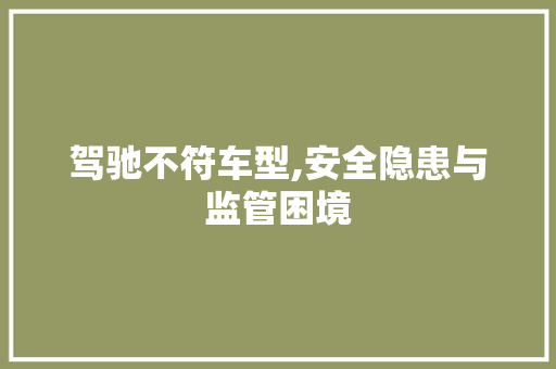 驾驰不符车型,安全隐患与监管困境