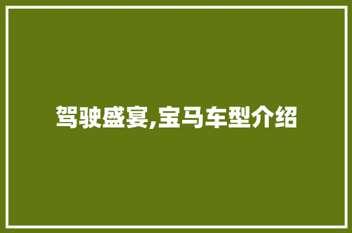 驾驶盛宴,宝马车型介绍