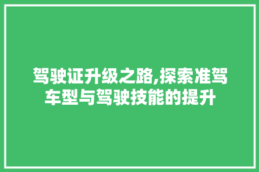驾驶证升级之路,探索准驾车型与驾驶技能的提升