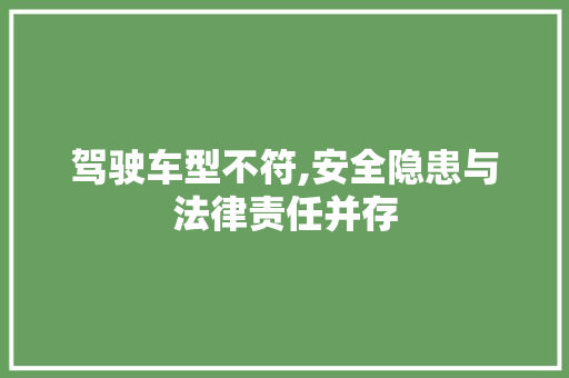 驾驶车型不符,安全隐患与法律责任并存