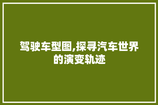 驾驶车型图,探寻汽车世界的演变轨迹