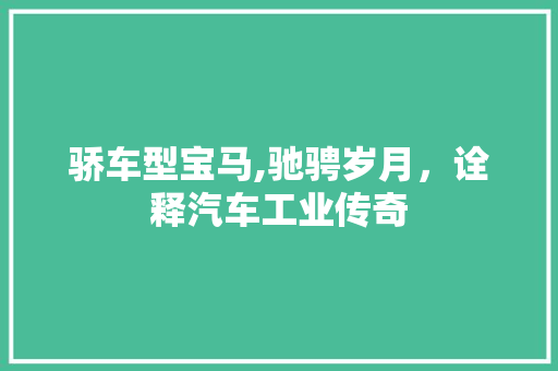 骄车型宝马,驰骋岁月，诠释汽车工业传奇