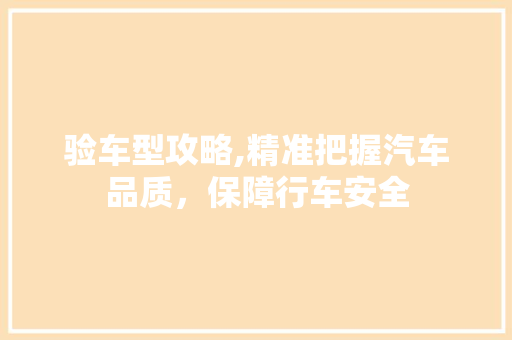 验车型攻略,精准把握汽车品质，保障行车安全