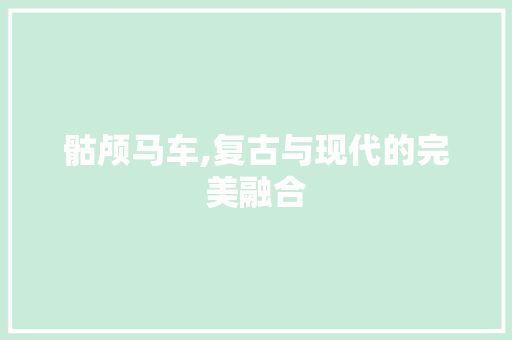 骷颅马车,复古与现代的完美融合