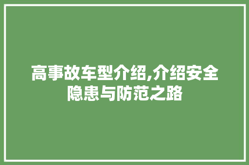 高事故车型介绍,介绍安全隐患与防范之路