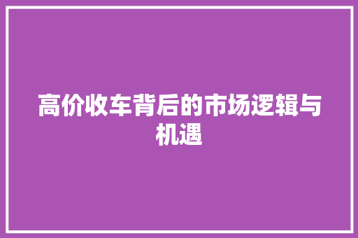 高价收车背后的市场逻辑与机遇