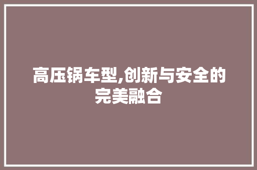 高压锅车型,创新与安全的完美融合