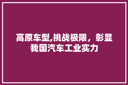 高原车型,挑战极限，彰显我国汽车工业实力
