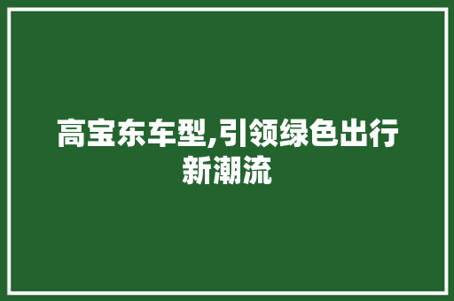 高宝东车型,引领绿色出行新潮流