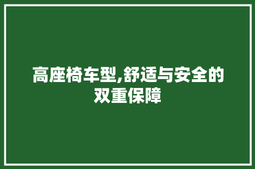高座椅车型,舒适与安全的双重保障