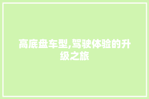 高底盘车型,驾驶体验的升级之旅