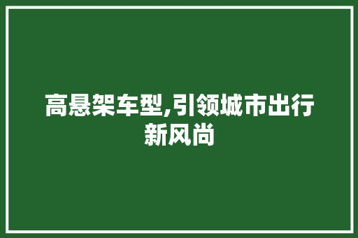 高悬架车型,引领城市出行新风尚