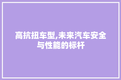 高抗扭车型,未来汽车安全与性能的标杆