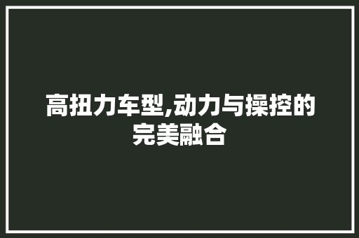高扭力车型,动力与操控的完美融合