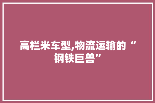 高栏米车型,物流运输的“钢铁巨兽”