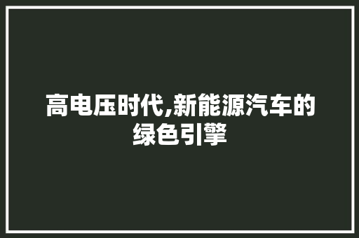 高电压时代,新能源汽车的绿色引擎