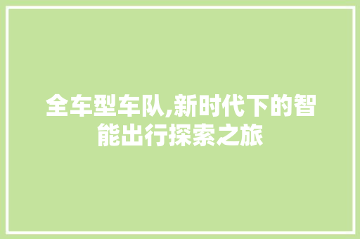全车型车队,新时代下的智能出行探索之旅