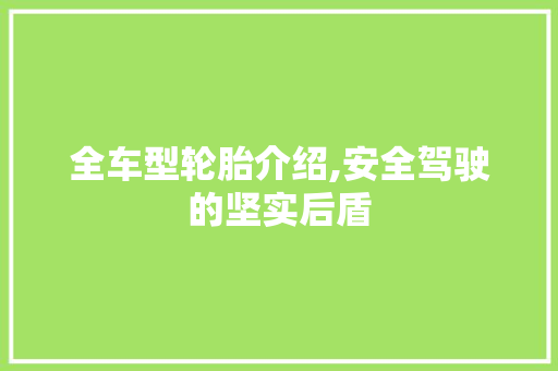 全车型轮胎介绍,安全驾驶的坚实后盾