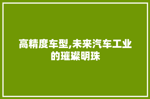 高精度车型,未来汽车工业的璀璨明珠