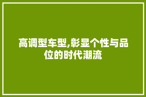 高调型车型,彰显个性与品位的时代潮流