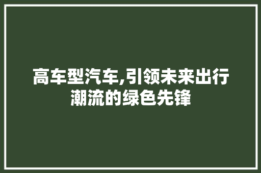 高车型汽车,引领未来出行潮流的绿色先锋