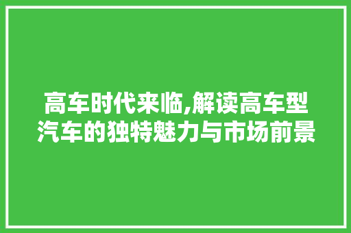高车时代来临,解读高车型汽车的独特魅力与市场前景