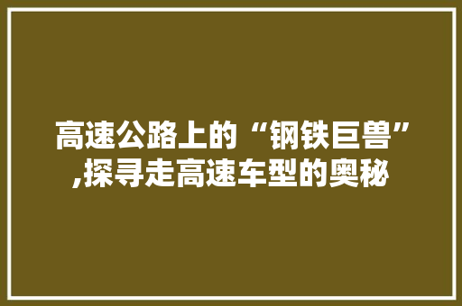 高速公路上的“钢铁巨兽”,探寻走高速车型的奥秘
