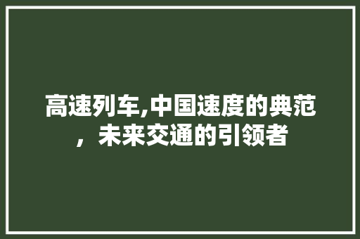 高速列车,中国速度的典范，未来交通的引领者