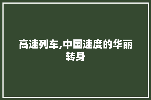 高速列车,中国速度的华丽转身